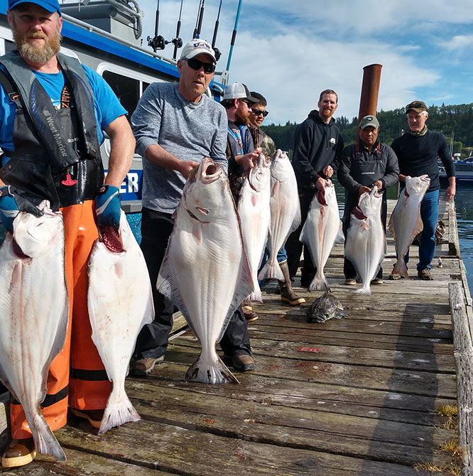 Halibut Fishing Charter Photo Gallery - Sekiu, WA