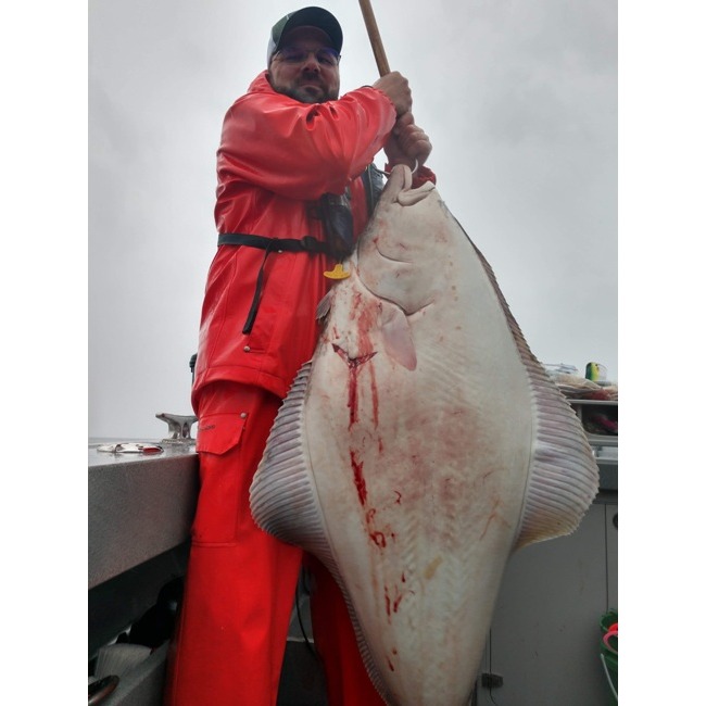 Halibut Fishing Photo Gallery V - Sekiu, WA