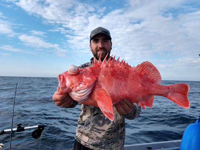 Rockfish Fishing Photo Gallery - Sekiu, WA