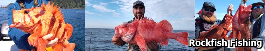 Rockfish Fishing Charters